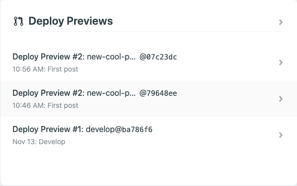 Preview PR deploy on Netlify